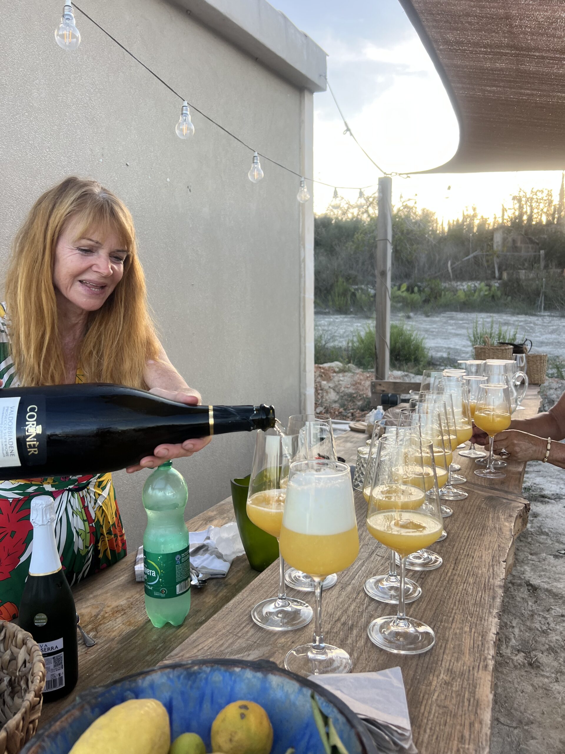 Dining Under the Stars at Lucinda’s Organic Citrus Farm