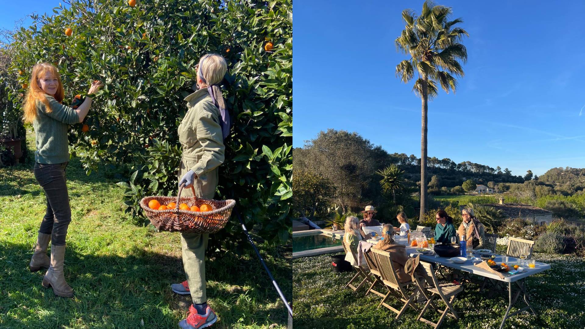 Lucindas Orange Farm