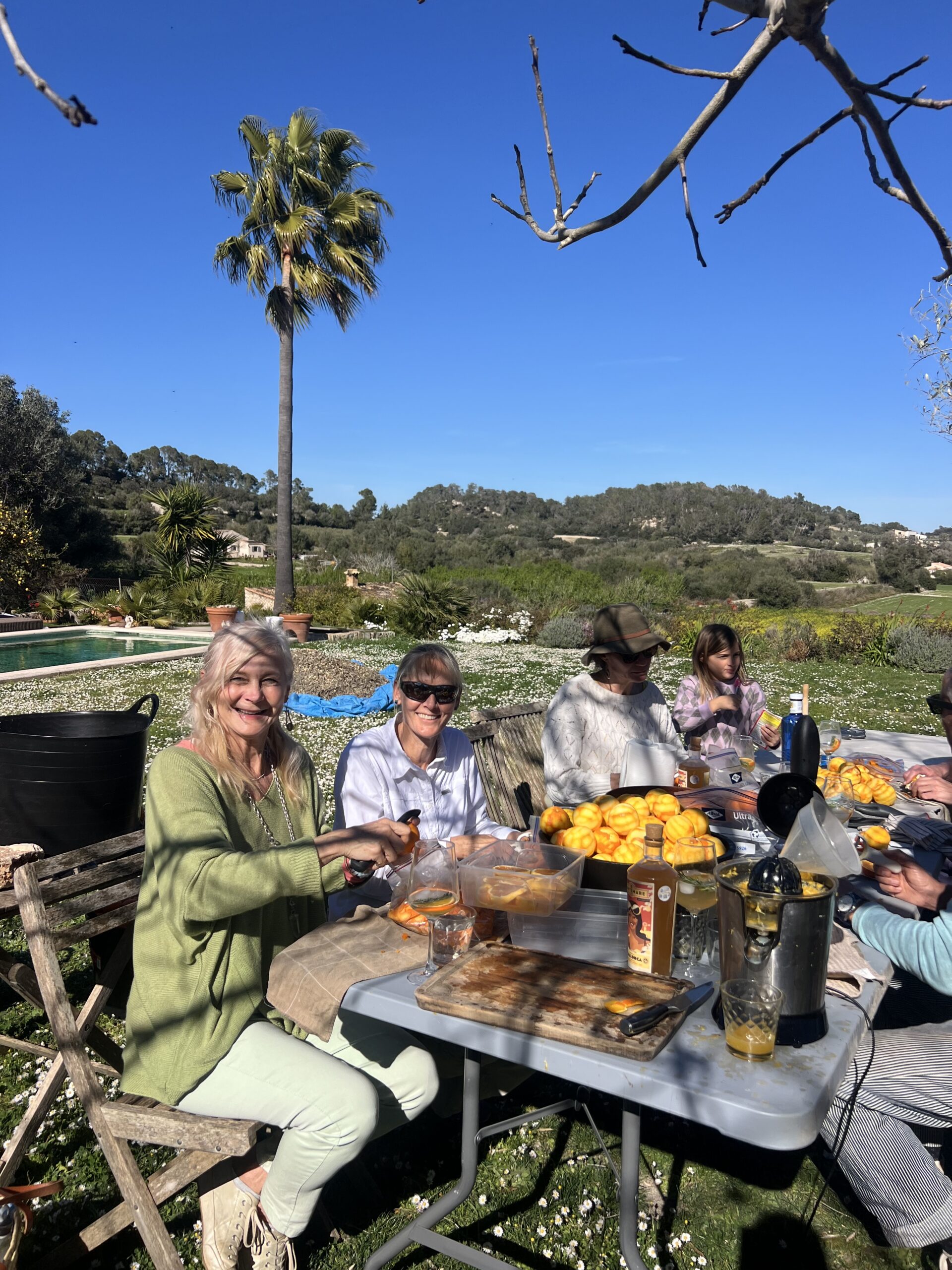 Organic orange Mallorca