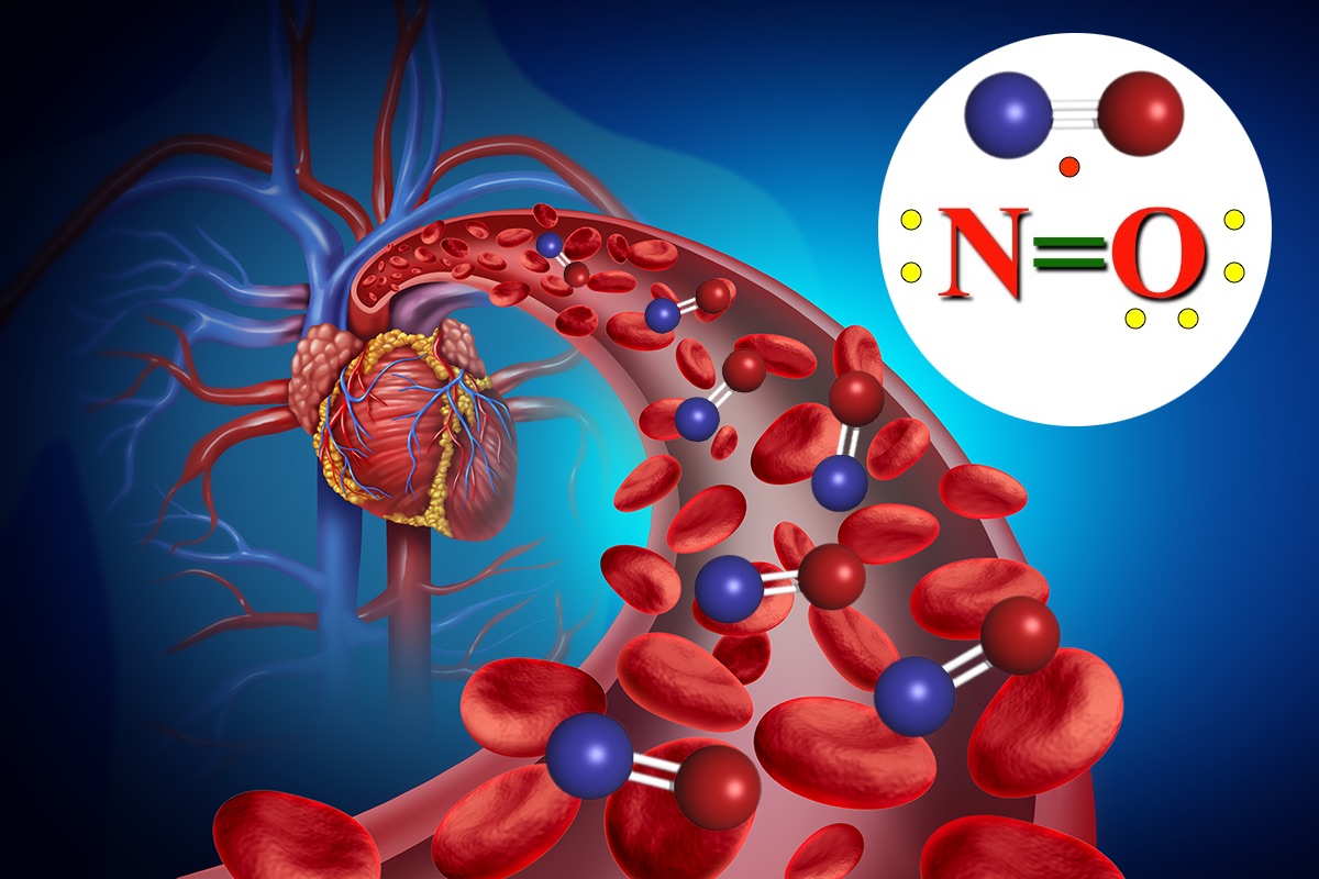 Nitric oxide anti-aging