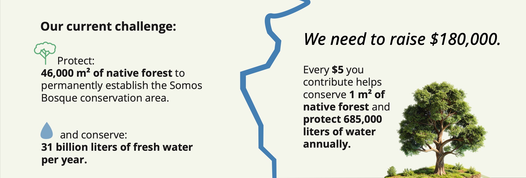 Fundación Cuidemos
Paraísos Coral Herencia