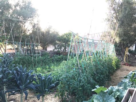 Ecological Farm Mallorca Finca Can Piol