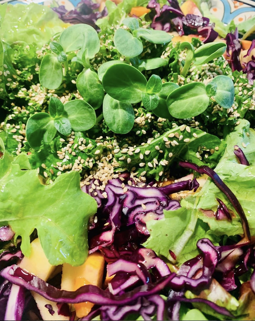 Microgreen Protein Dense Nutrition